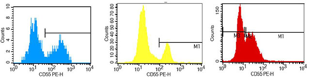 ts-32.jpg ts-32.jpg