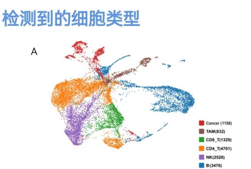 微信图片_20221031152348.jpg 微信图片_20221031152348.jpg