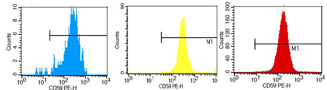 ts-29.jpg ts-29.jpg
