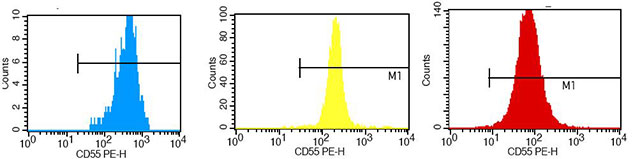 ts-30.jpg ts-30.jpg