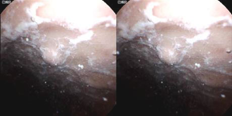20250321-7.jpg